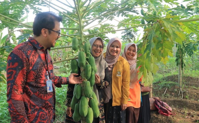 Kelompok Wanita Tani Aglonema Desa Rabak, Berharap Bantuan Instalasi Hidroponik dari&nbsp;Bupati