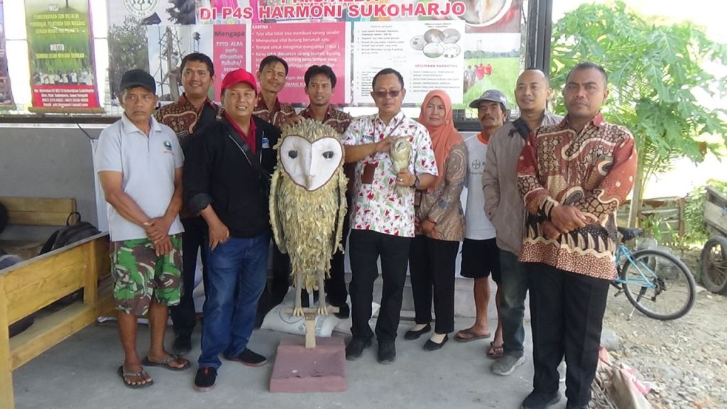 Burung Hantu Efektif Membasmi&nbsp;Tikus